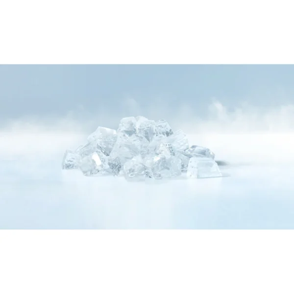 Machine à glace nugget Hoshizaki FM